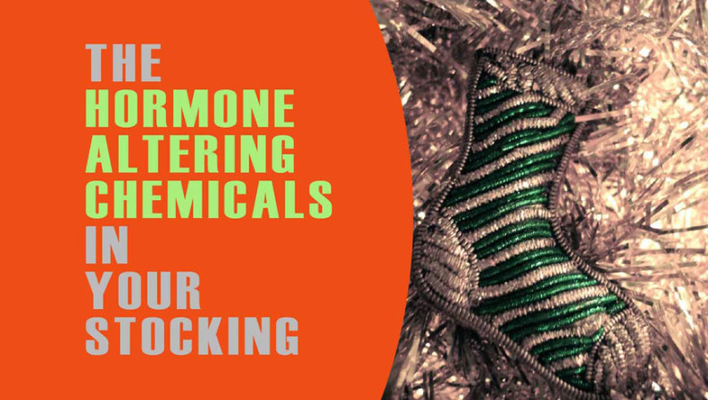 the hormone altering chemicals in your christmas stocking 3