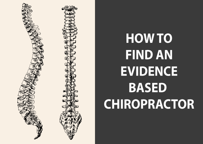 how to find an evidence based chiropractor in holland